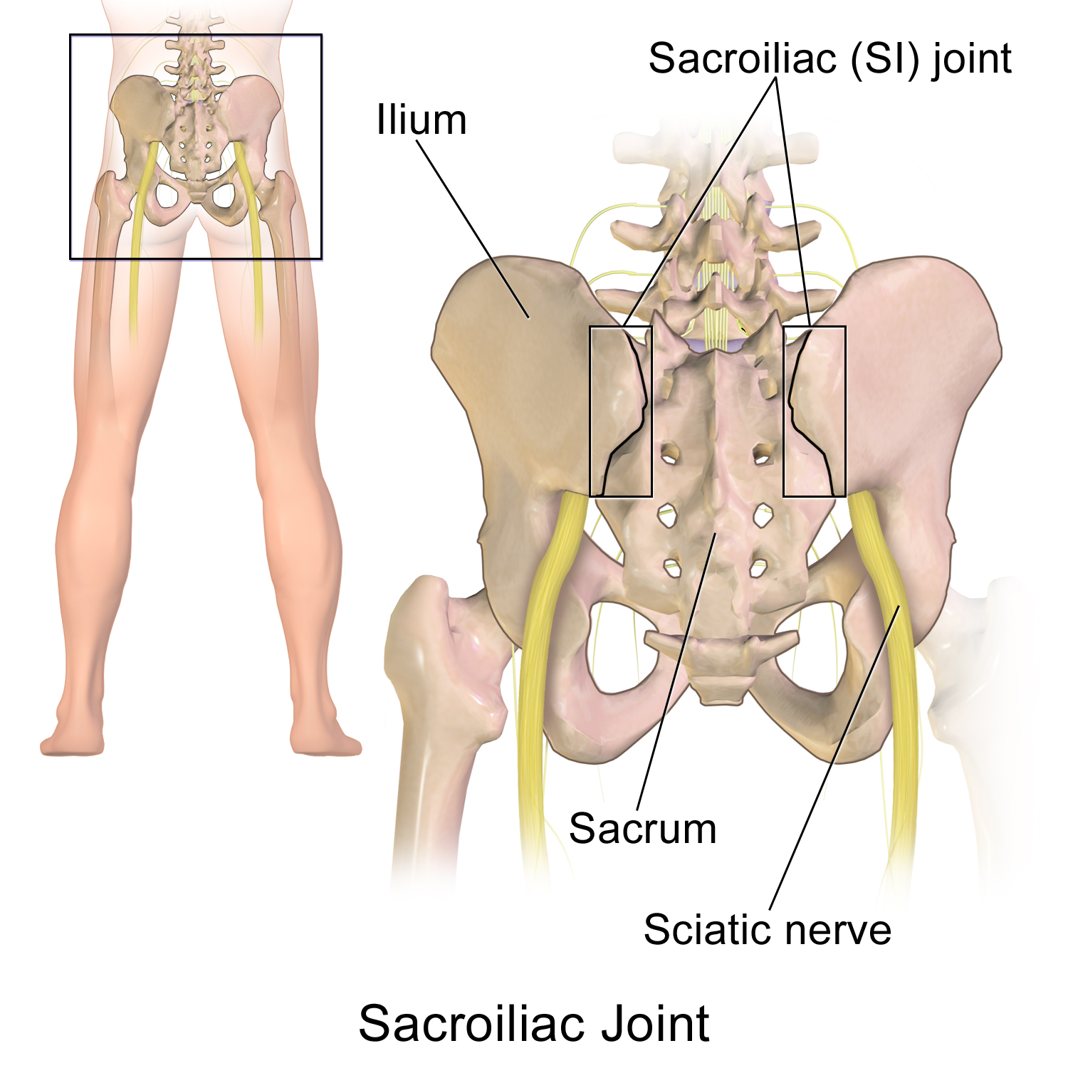 artroza u liječenju vratne kralježnice jaka bol u zglobu kuka kako se liječiti